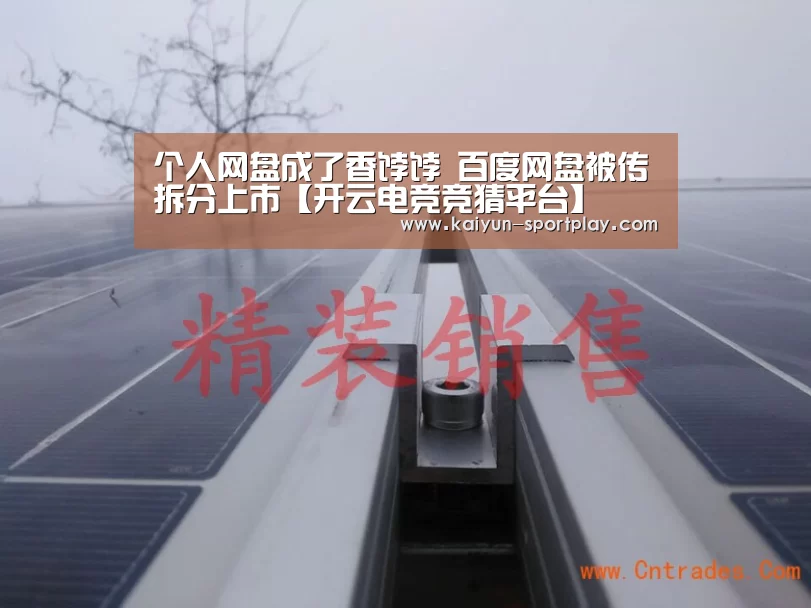 个人网盘成了香饽饽 百度网盘被传拆分上市【开云电竞竞猜平台】(图1) 开云官方入口