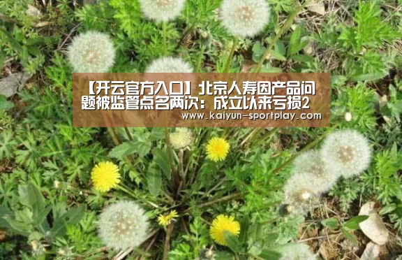 【开云官方入口】北京人寿因产品问题被监管点名两次:成立以来亏损2亿(图1) 开云官方入口