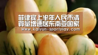 菲律宾上半年人民币清算量增速居东南亚国家首位|开云电子游艺(图2) 开云电竞竞猜平台